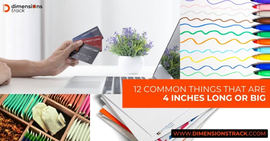 Common Things That Are 4 Inches Long