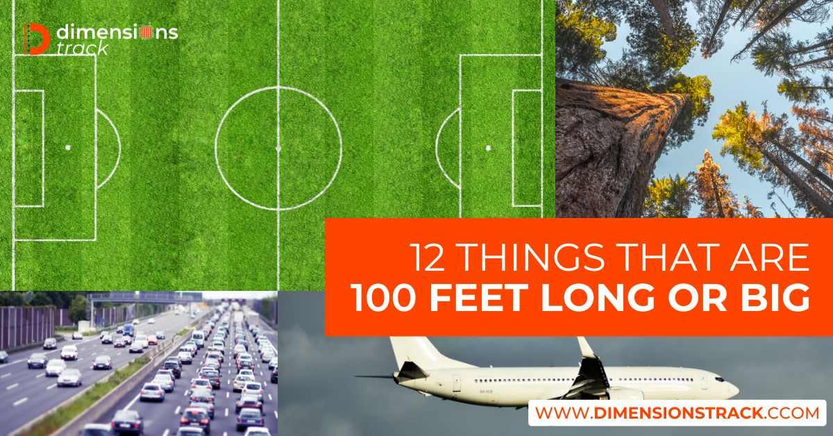 10 Things That Are 100 Feet Long