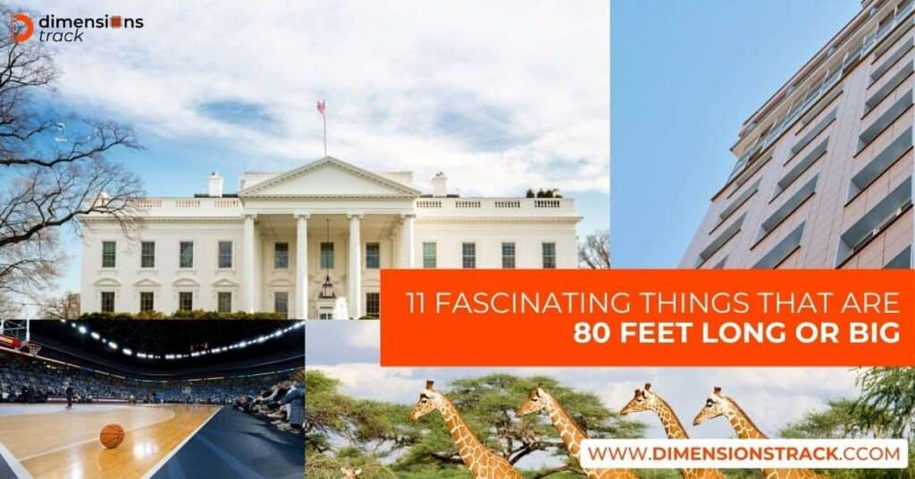 Fascinating Things That Are 80 Feet (ft) Long