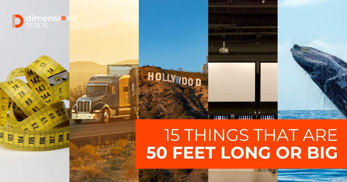 15 Things That Are 50 Feet Long or Big