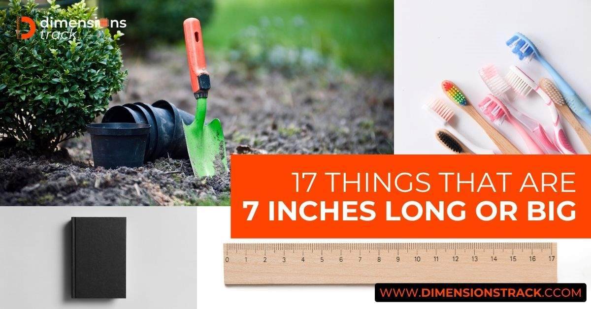 17 Common Things That Are 7 Inches Long