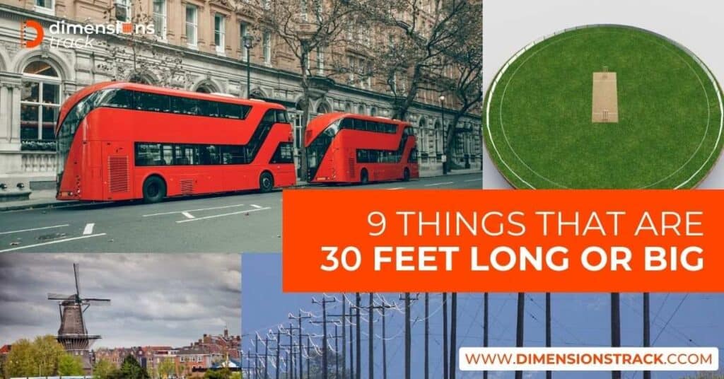 9 Common Things That Are 30 Feet Long or Big