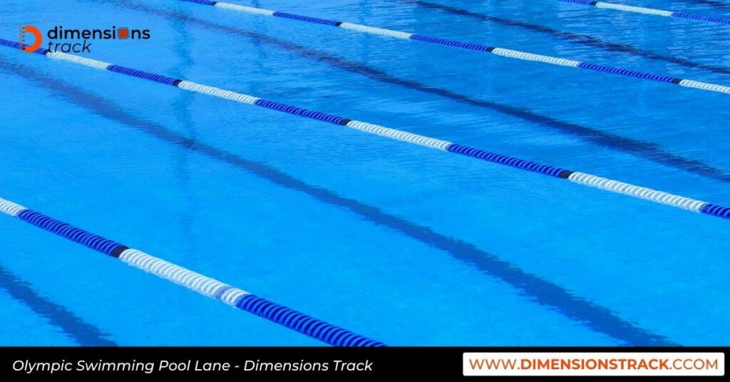 Olympic Swimming Pool Lane