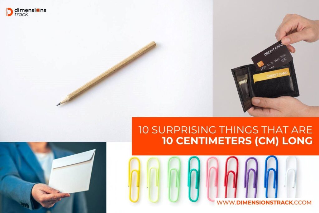 Surprising Things That Are 10 Centimeters (cm) Long