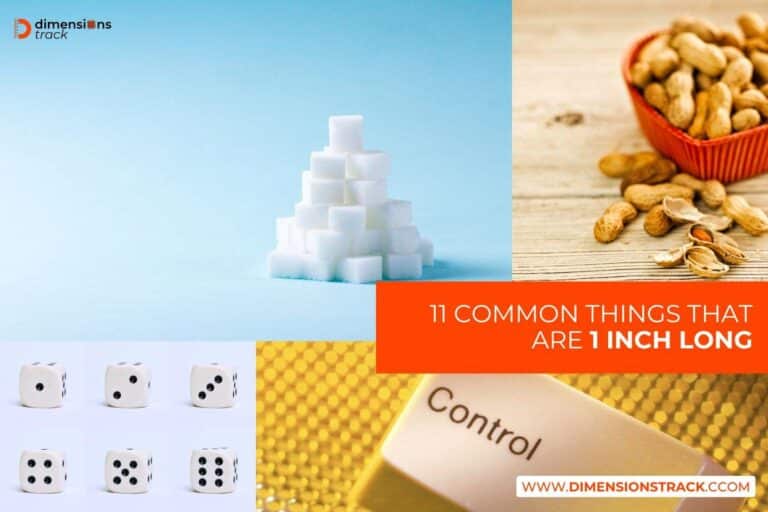 11 Common Things That Are 1 Inch Long Dimensions Track 11-common-things-that-are-1-inch-long-dimensions-track