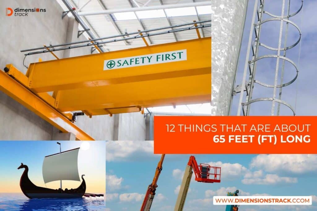 Things That Are About 65 Feet (ft) Long