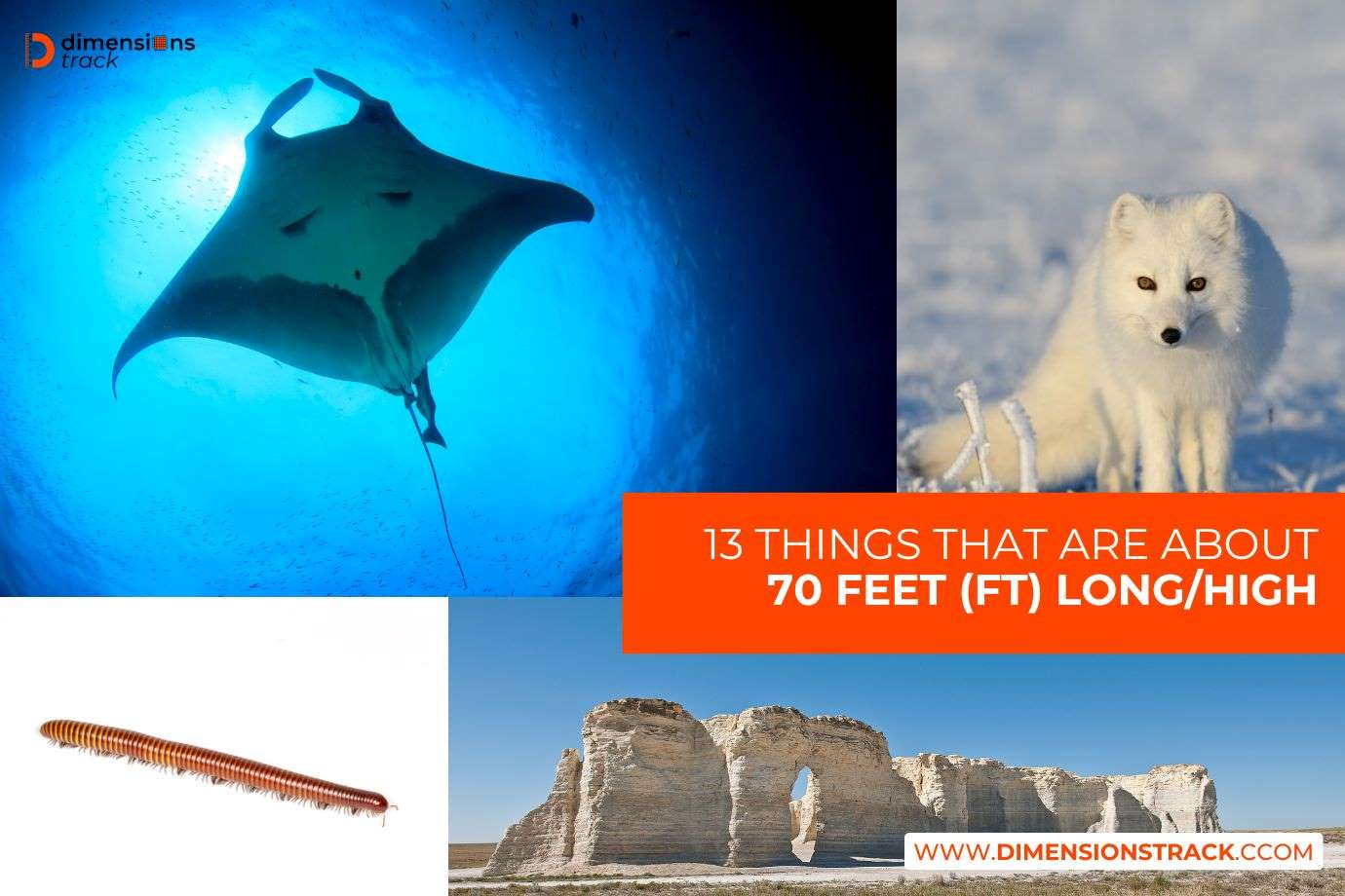 13 Things That Are About 70 Feet (ft) Long or High