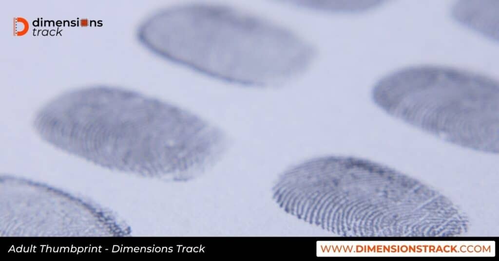 Adult Thumbprint