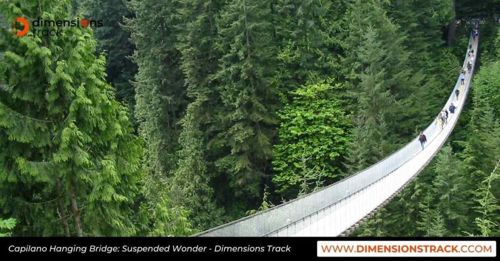 Capilano Hanging Bridge: Suspended Wonder