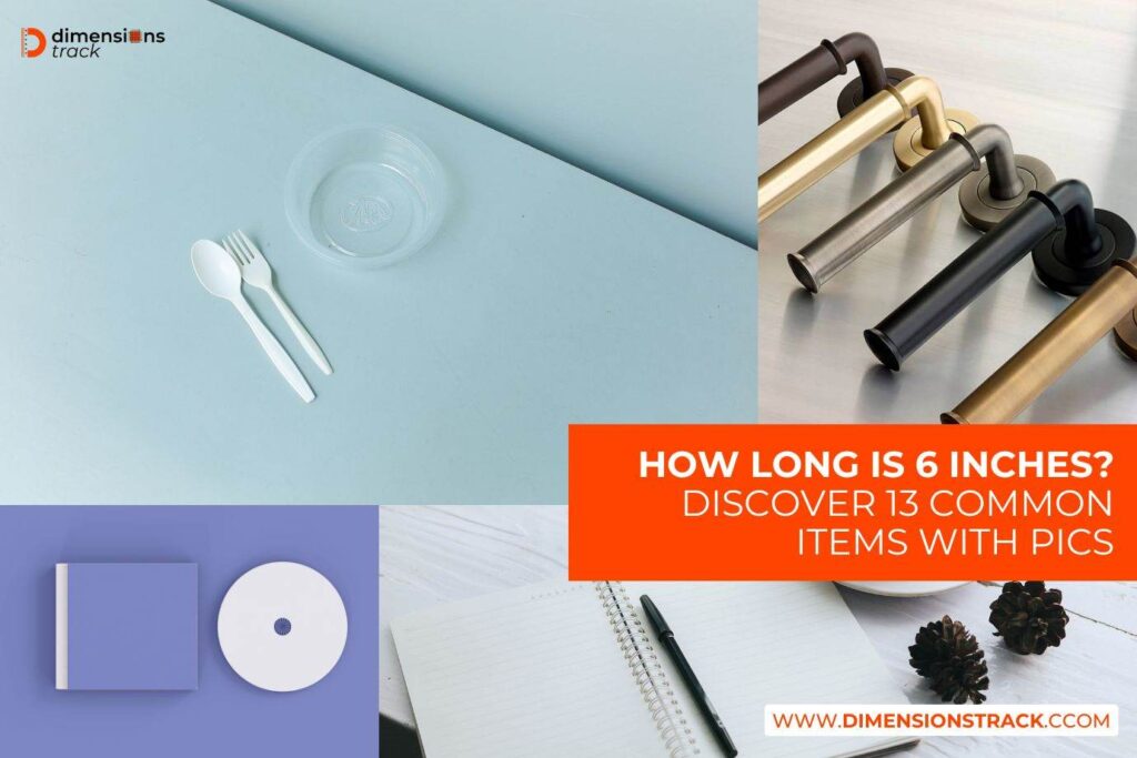 How Long is 6 Inches? Discover Common Items With Pics