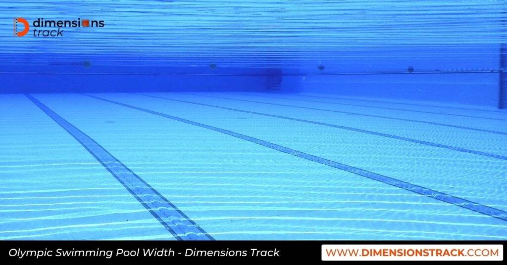 Olympic Swimming Pool Width