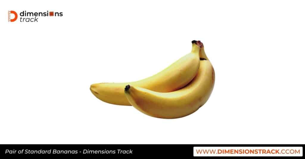 Pair of Standard Bananas