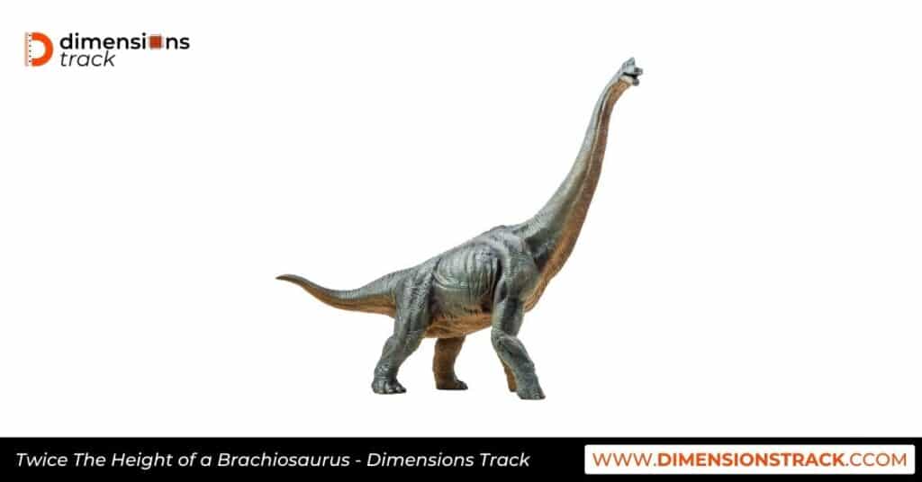 Twice The Height of a Brachiosaurus