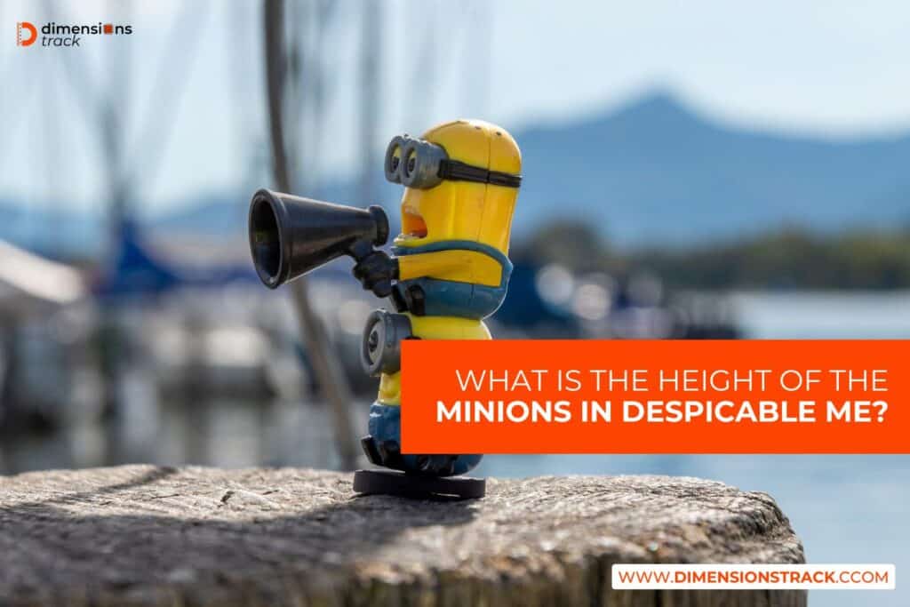 What is the Height of the Minions in Despicable Me?