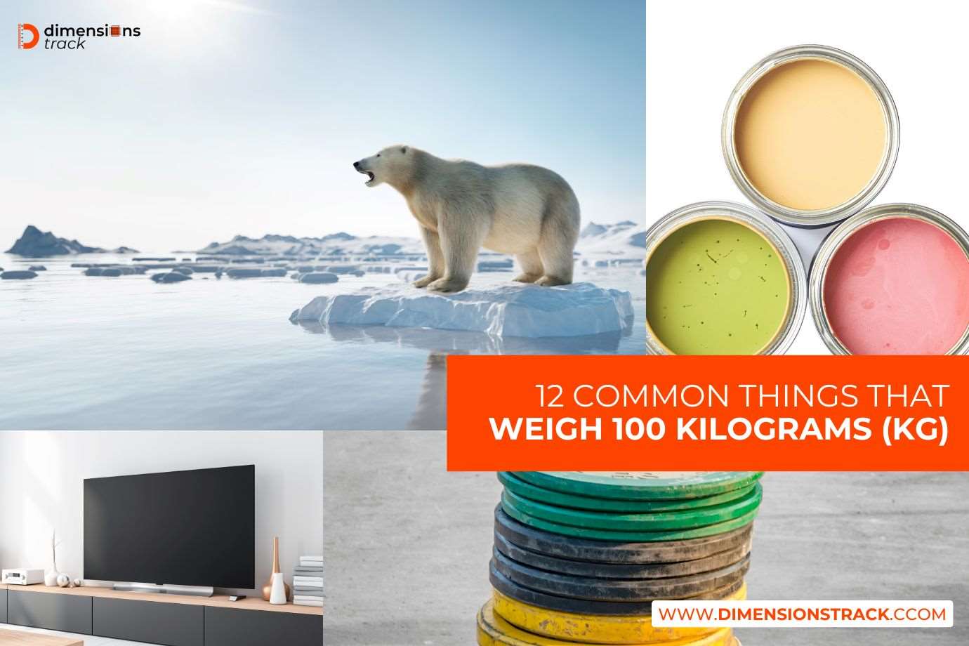 Common Things That Weigh 100 Kilograms (Kg)