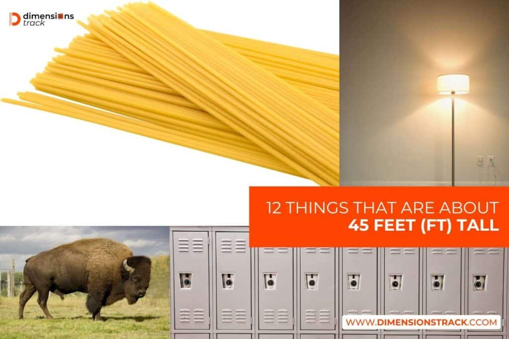 12 Things That Are About 45 Feet (ft) Tall - Dimensions Track