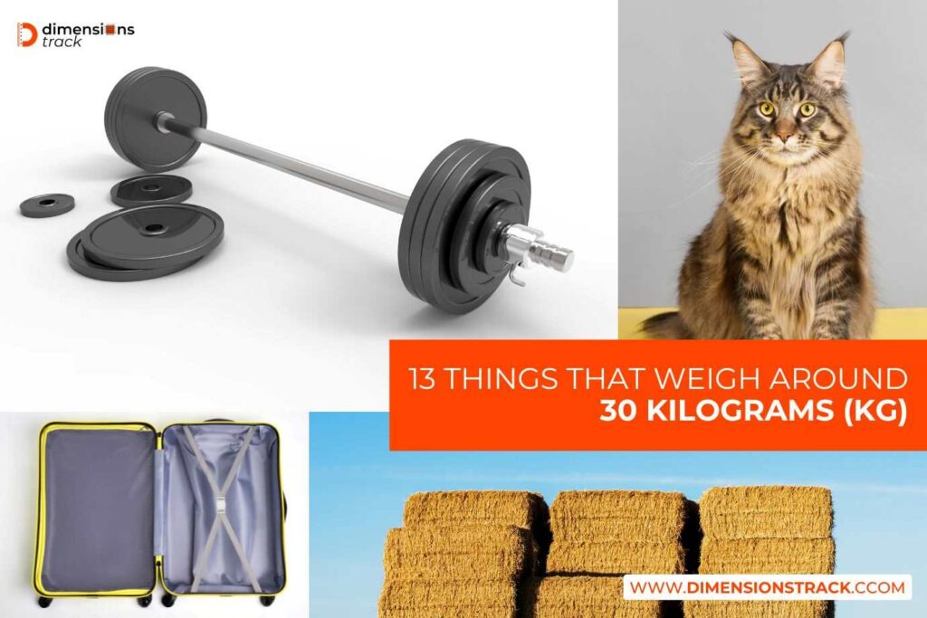 13 Things That Weigh Around 30 Kilograms (kg)