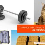 13 Things That Weigh Around 30 Kilograms (kg)