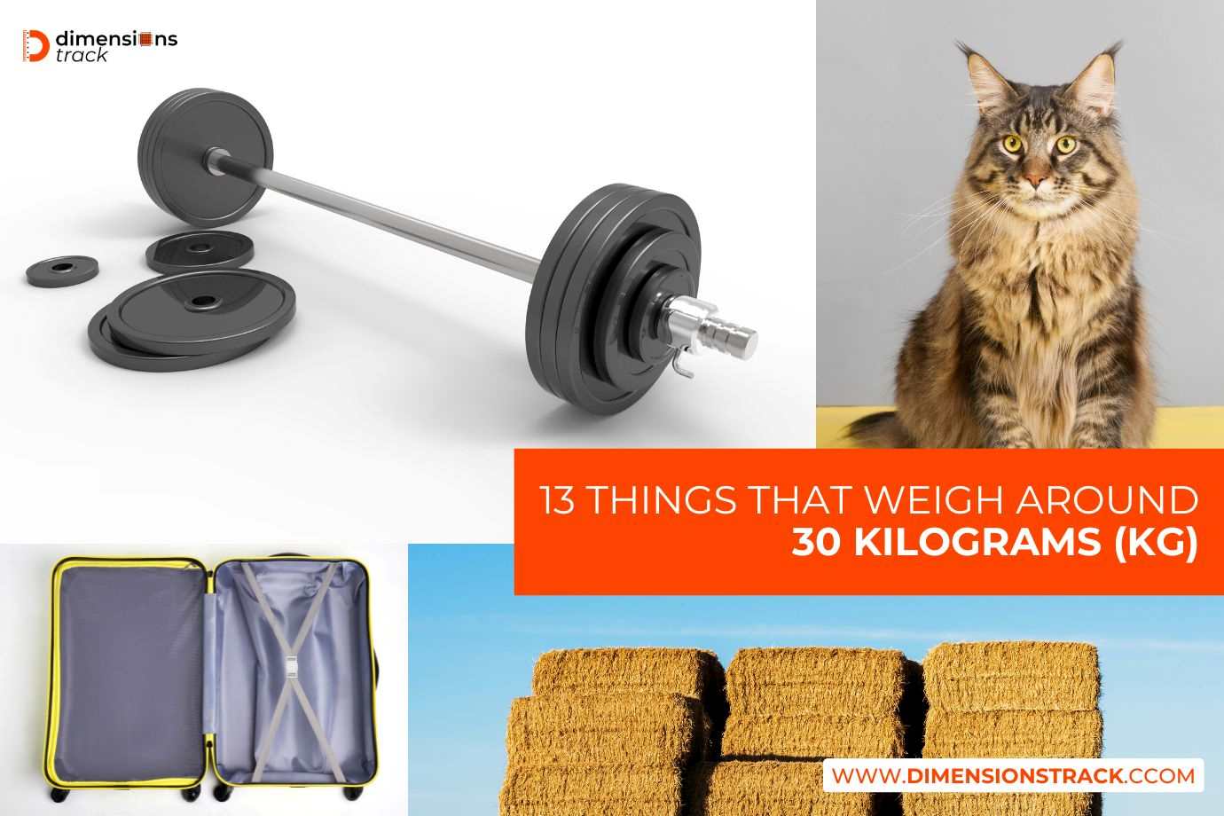 13 Things That Weigh Around 30 Kilograms (kg)