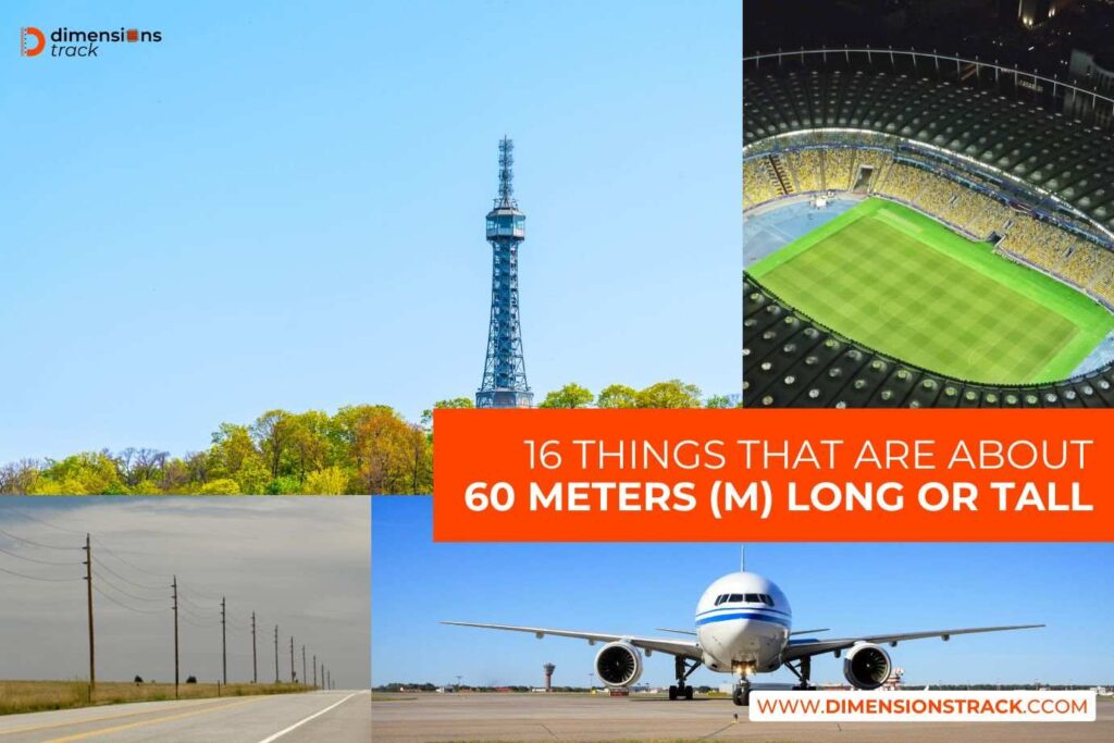 Things That Are About 60 Meters Long or Tall