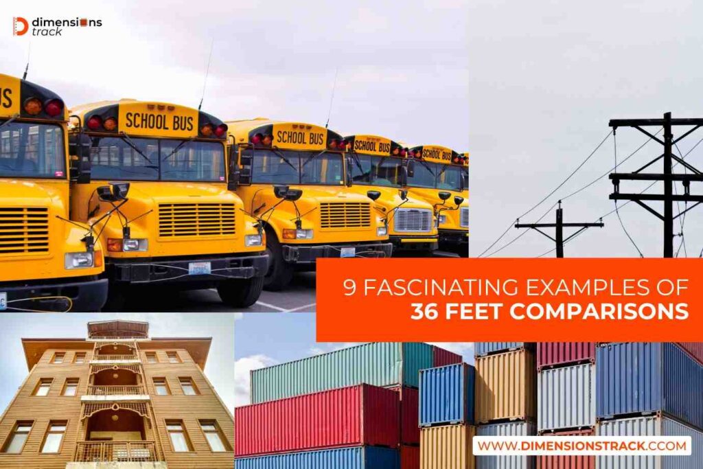 9 Fascinating Examples of 36 Feet Comparisons