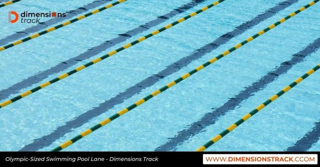 Olympic-Sized Swimming Pool Lane