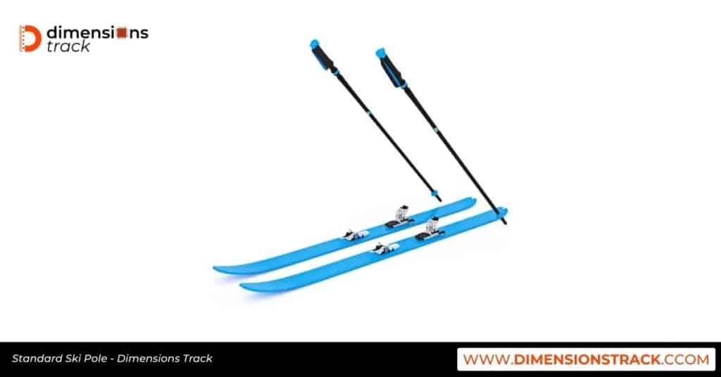 Standard Ski Pole