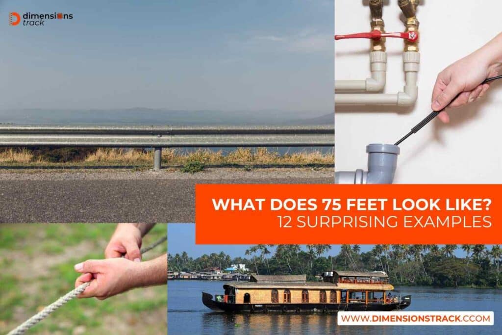 What Does 75 Feet Look Like? 12 Surprising Examples