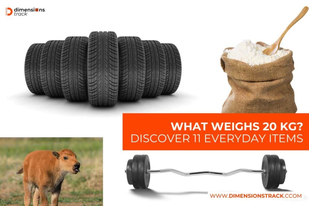 What Weighs 20 kg? Discover 11 Everyday Items