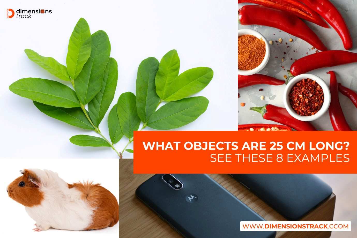 What Objects Are 25 cm Long? See These 8 Examples