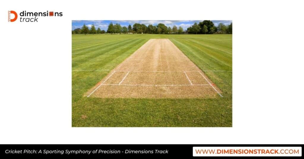 Cricket Pitch: A Sporting Symphony of Precision